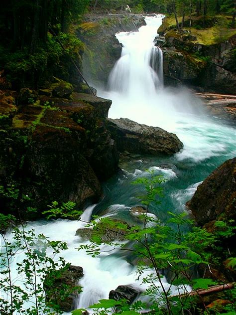 Plus maps and lots of photos of the trail. Silver Falls @ Mt Rainier National Park | You could hear ...
