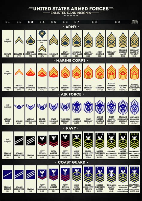 United States Armed Forces Enlisted Rank Insignia Digital Art By Zapista Ou Pixels