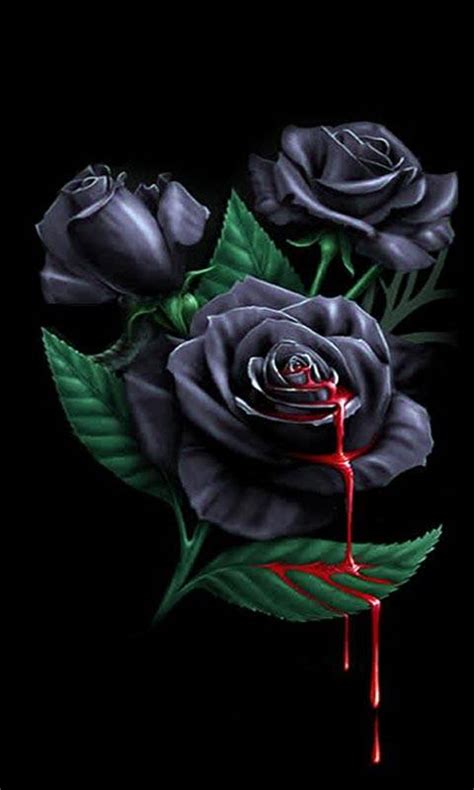 Bleeding Black Rose Wallpaper By Luckyman C9 Free On Zedge