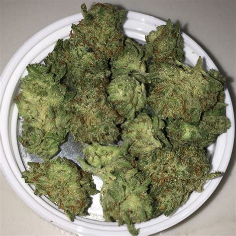 Strain Review Star Dawg Minis From Trulieve The Highest Critic