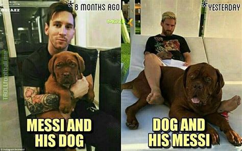 In january, he got this very cute puppy. What is Lionel Messi feeding his dog? | Troll Football