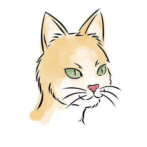 How To Draw A Cat Face 8 Steps With Pictures Wikihow Cat Face