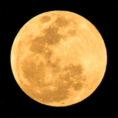 Veja aqui quando é lua cheia, mas também quando metade da lua é visível ou quando há um eclipse total da lua. Lua cheia no Natal