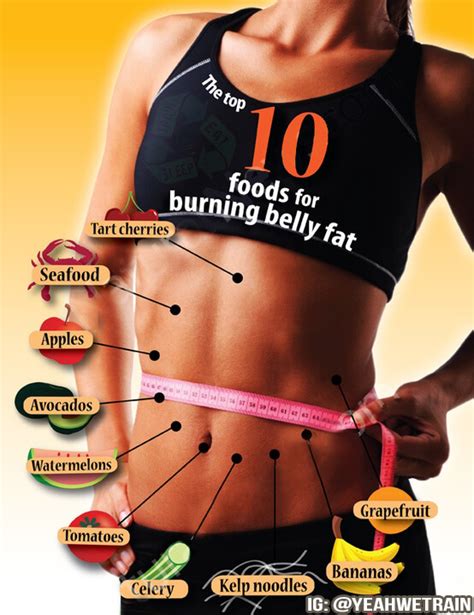 The Top 10 Foods Burning Belly Fat Healthy Fitness Eating Plan