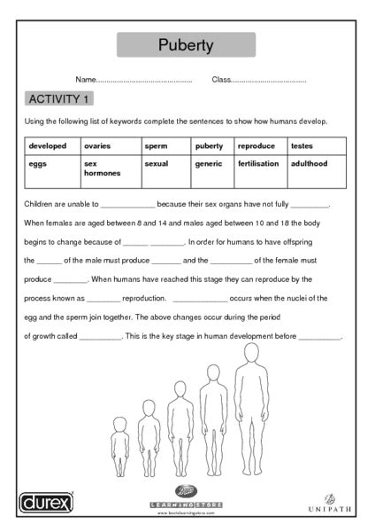 Free Printable Worksheets On Puberty Free Printable Templates