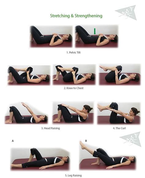 23 Best Physiotherapy Exercises For Lower Back Pain Images On Pinterest