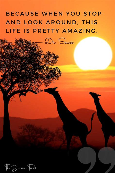 Sunset Quotes Funny Pin By Alyssa Palmer On Quotes D Seuss Quotes