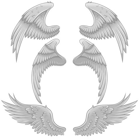 Premium Vector Angel Wings Vector Design