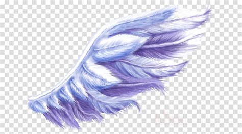 Watercolor cool parrot png bird set. Watercolor Angel Wings Png & Free Watercolor Angel Wings ...
