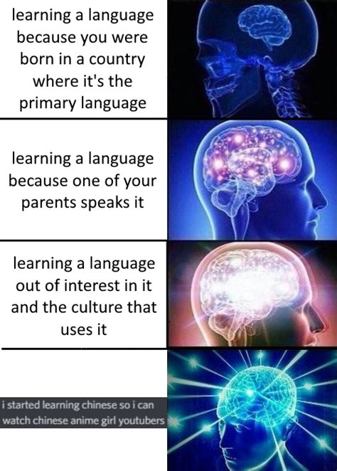 Reasons To Learn A New Language Rmemes