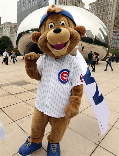 Photo Gallery Cubs Mascot Takes To The Streets Chicago Tribune