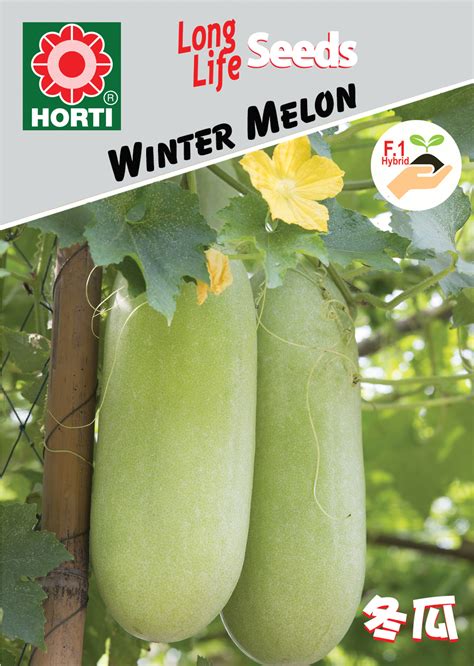 Winter Melon | Horti Flora - Singapore Seeds Supplier