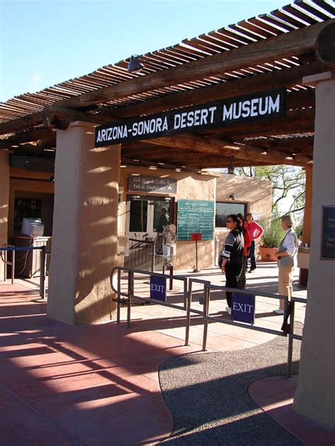 Tucson Arizona Arizona Sonora Desert Museum Photo Picture Image