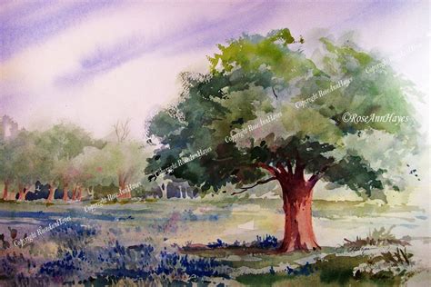 Live Oak Tree Bluebonnets Watercolor Painting Print Landscape Etsy
