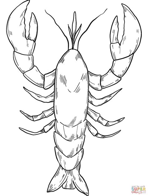 Lobster Coloring Page Free Printable Coloring Pages