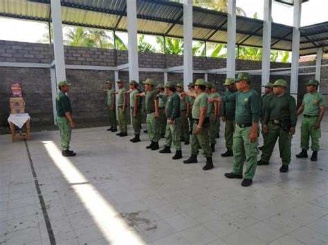 Cara Melamar Linmas : Gu7v2s6lxlxhhm / Cara membuat lamaran kerja lewat email.