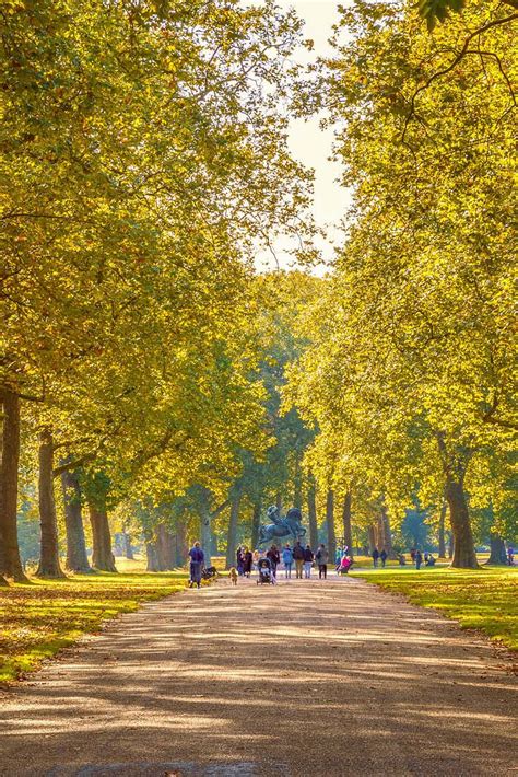 29 Gorgeous Parks In London You Need To Explore — London X London