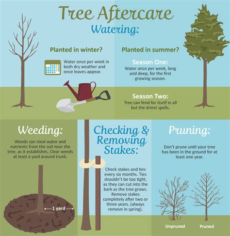Selecting The Right Tree For Your Garden Care2 Healthy Living