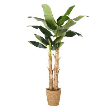 K Nstliche Monstera Pflanze Im Topf Monstera Maisons Du Monde