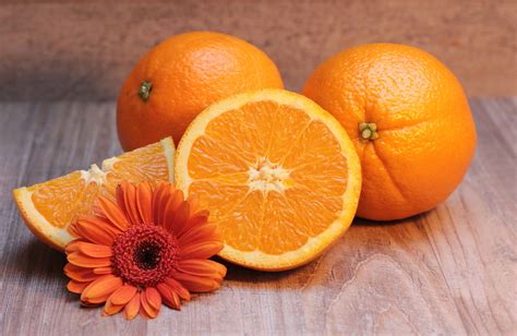 free picture fruit food citrus vitamin tangerine juice flower