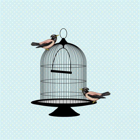 Vintage Bird And Cage Free Stock Photo Public Domain Pictures