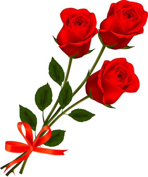 Karangan Bunga Mawar Png