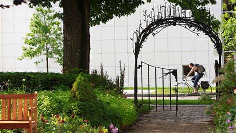 Cornell Promise | College of Agriculture and Life Sciences