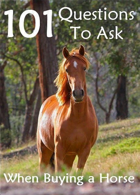 101 Questions To Ask When Buying A Horse Savvy Horsewoman