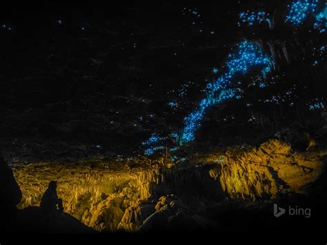 Waitomo Glowworm Caves New Zealand 2016 Bing Desktop Wallpaper Preview