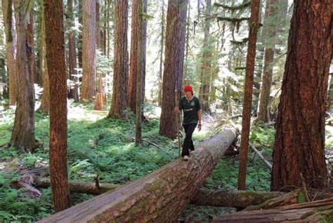 Exploring Olympic National Park From Sol Duc Campground