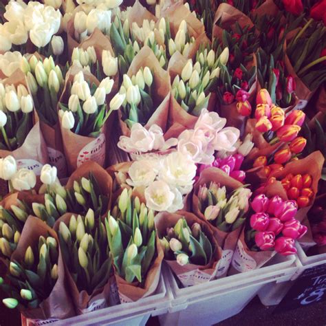 Send flowers cheap from 1800flowers starting at $19.99! whole foods flowers.. | Plant life, Whole food recipes, Plants
