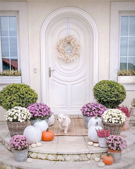 Znak Autumndecorations Na Instagramu Fotografije I Videozapisi