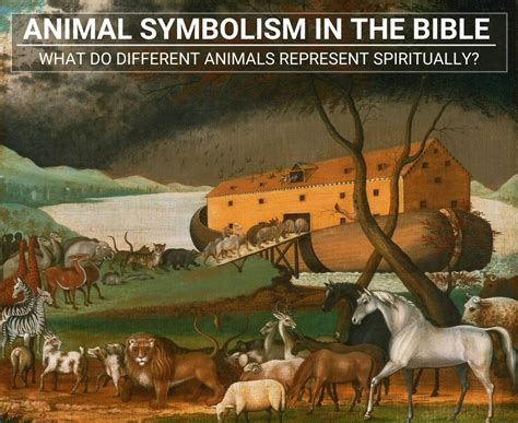 Animal Symbolism In The Bible What Do Animals Represent Spiritually