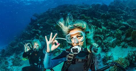 Best Caribbean Scuba Diving Here Are The Top 10 Dive Sites