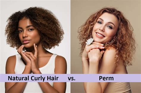 Natural Curls Vs Perm Whats The Difference Hairstylecamp