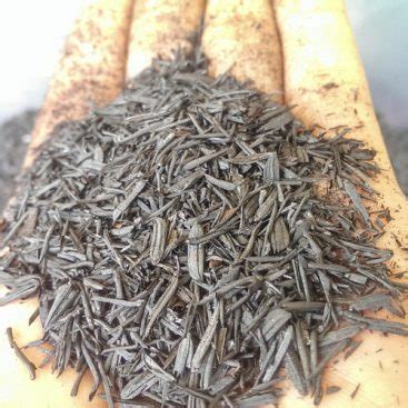 Arang sekam bakar memiliki banyak manfaat. Sekam Padi Bakar Kasar - Kebuna Putrajaya