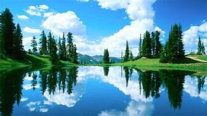 Beautiful, Lake, Amazing, Landscape, Organic, Plants