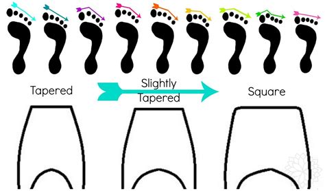 Learn Your Foot Type Pointe Fitting Ballet