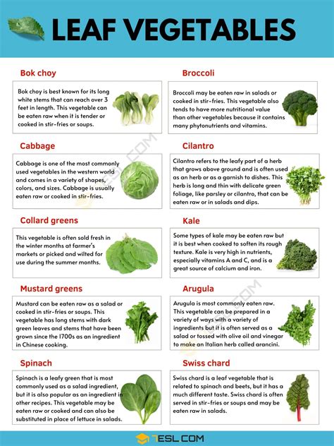 Leaf Vegetable Examples Of Leaf Vegetables With Pictures And Facts 7esl