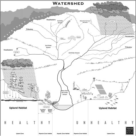 Anatomy Of A River Watershed