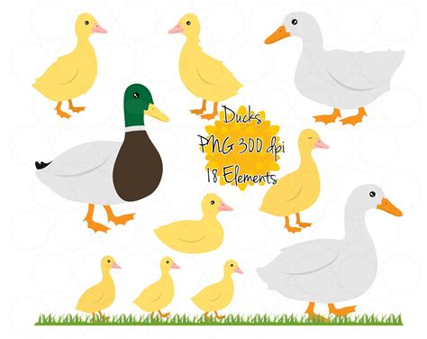 Duck Clipart Duckling Clip Art Mallard Duck Graphics Duck Printable