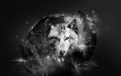 Wolf Native American Fantasy Abstract Wallpapers Planet