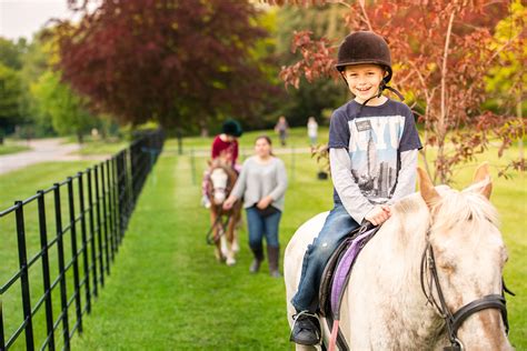 Study Horseback Riding Can Aid Dexterity Building In Autistics Agdaily