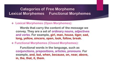 Examples are and, but, when, because, on, near, above, in, the, that, it, them. PPT - Morphology PowerPoint Presentation, free download ...