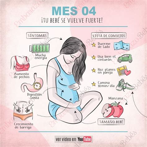 Cuarto Mes De Embarazo Mes 4 Embarazo Divertido Seguimiento De