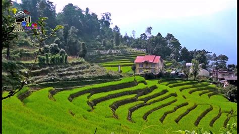 Rice Terraces Of Sikkim India Youtube