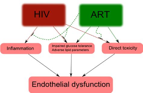 Interplay Between Hiv Art And Endothelial Dysfunction Schematic