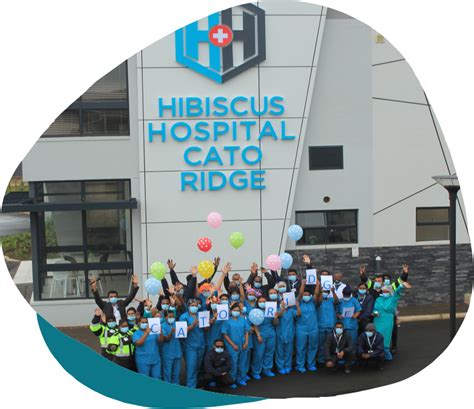 Our Hospitals - Hibiscus Hospital