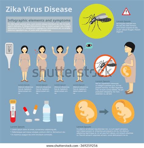 Zika Virus Disease Infographic Elements Symptoms Stock Vector Royalty