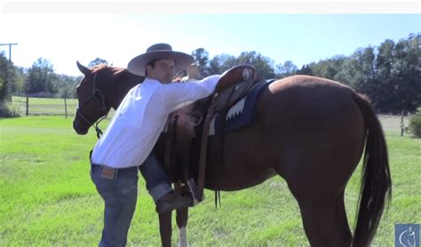 Proper Mounting Technique Keeps Your Horse Comfortable Equine Ink